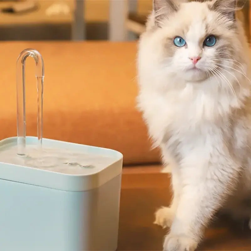 Fonte Bebedouro Automático Bivolt 1,5L - Paws Tech