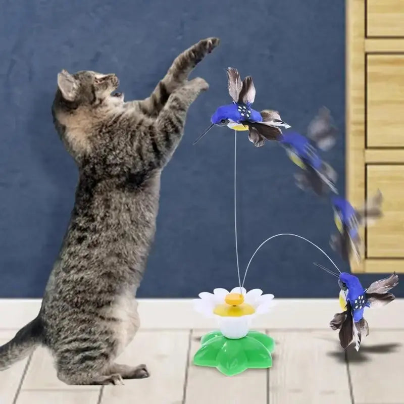 gato brincando com Brinquedo Para Gatos Pássaro Borboleta Eletrônico CatToy Bird