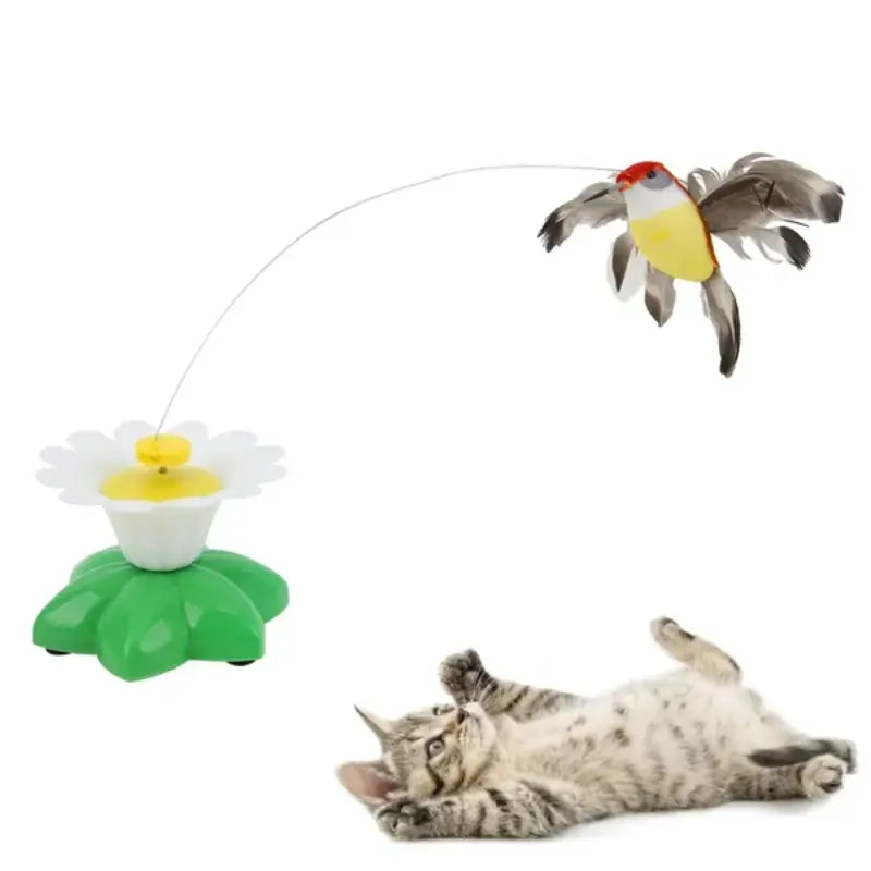 Brinquedo Para Gatos Pássaro Borboleta Eletrônico - CatToy Bird