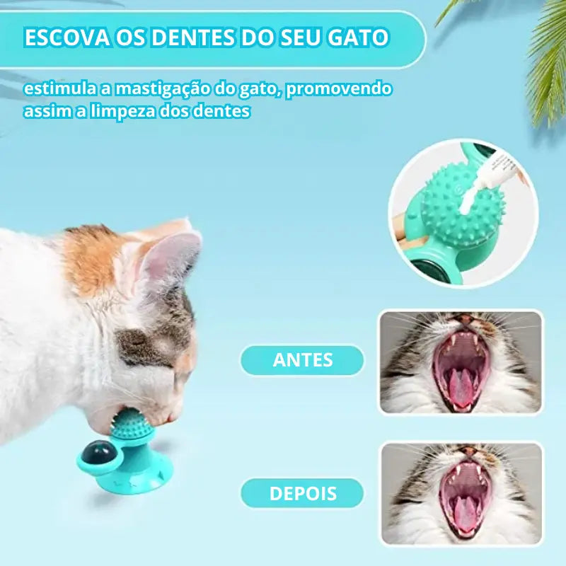 Brinquedo para Gatos de Moinho de Vento CatPlay Toy com limpeza de dentes dos gatos