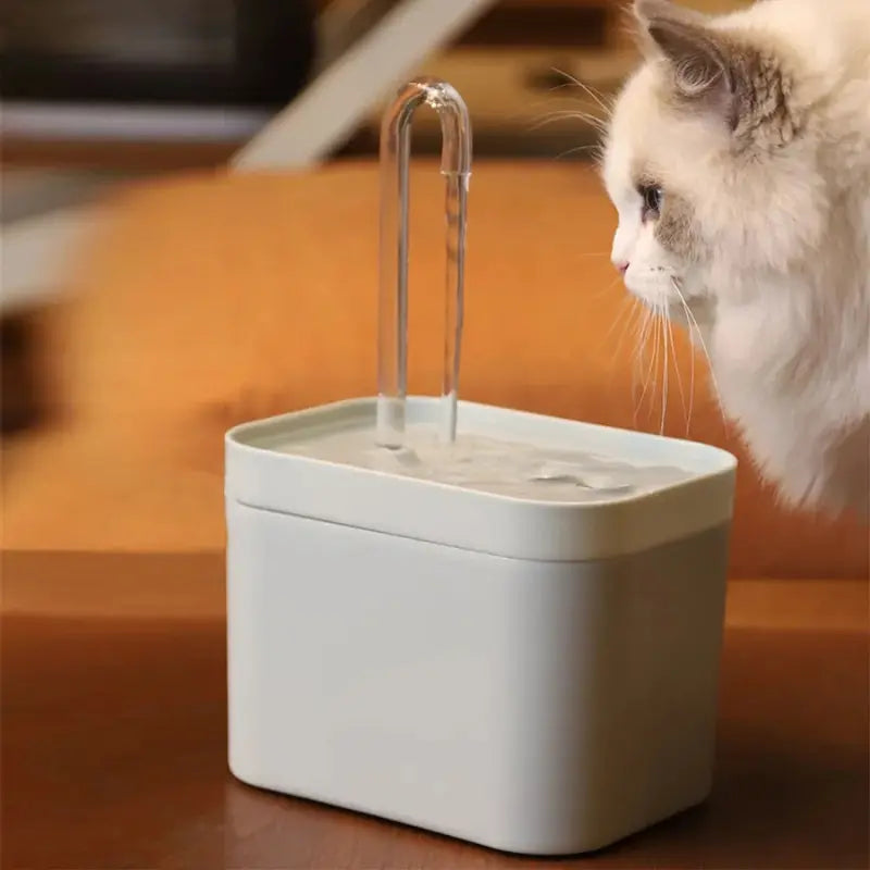 Fonte Bebedouro Automático Bivolt para Gatos