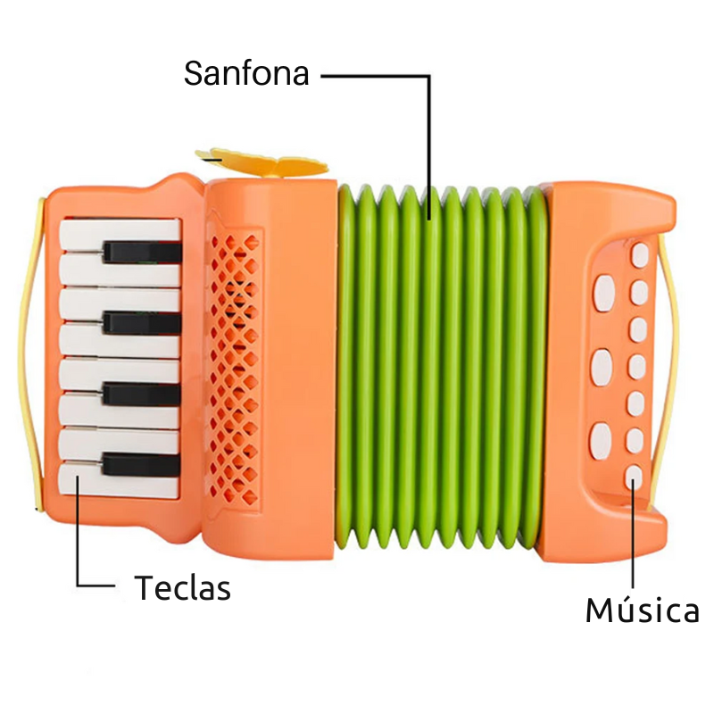 Mini Acordeon Sanfona Infantil